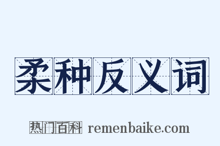 柔种反义词是什么意思的图片